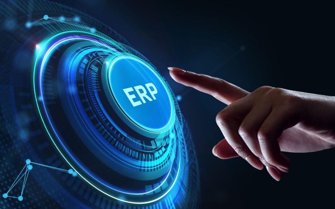 ERP Consulting Services